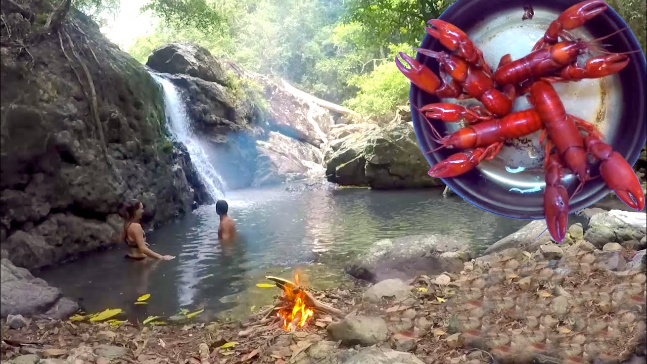Jungle Catch and Cook Yabbies Exploring new spot EP.475