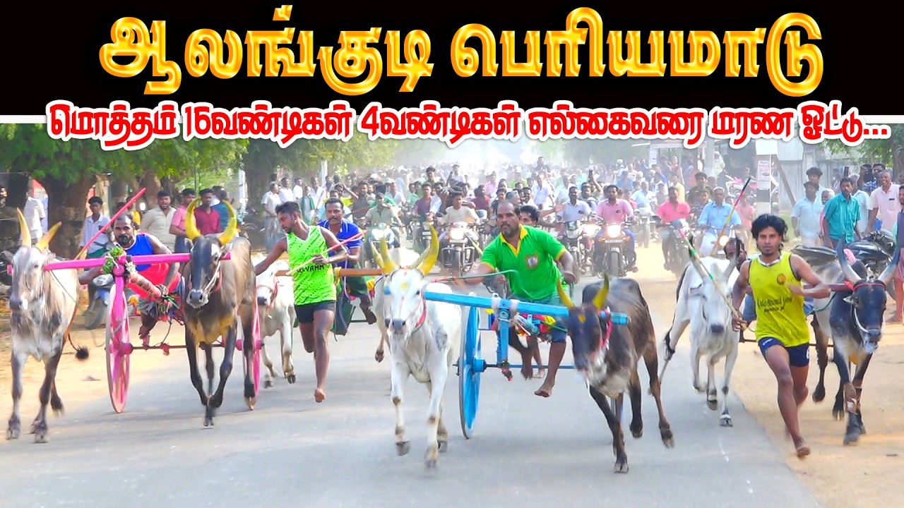 ஆலங்குடி பெரியமாடு பந்தயம் 08.03.2026