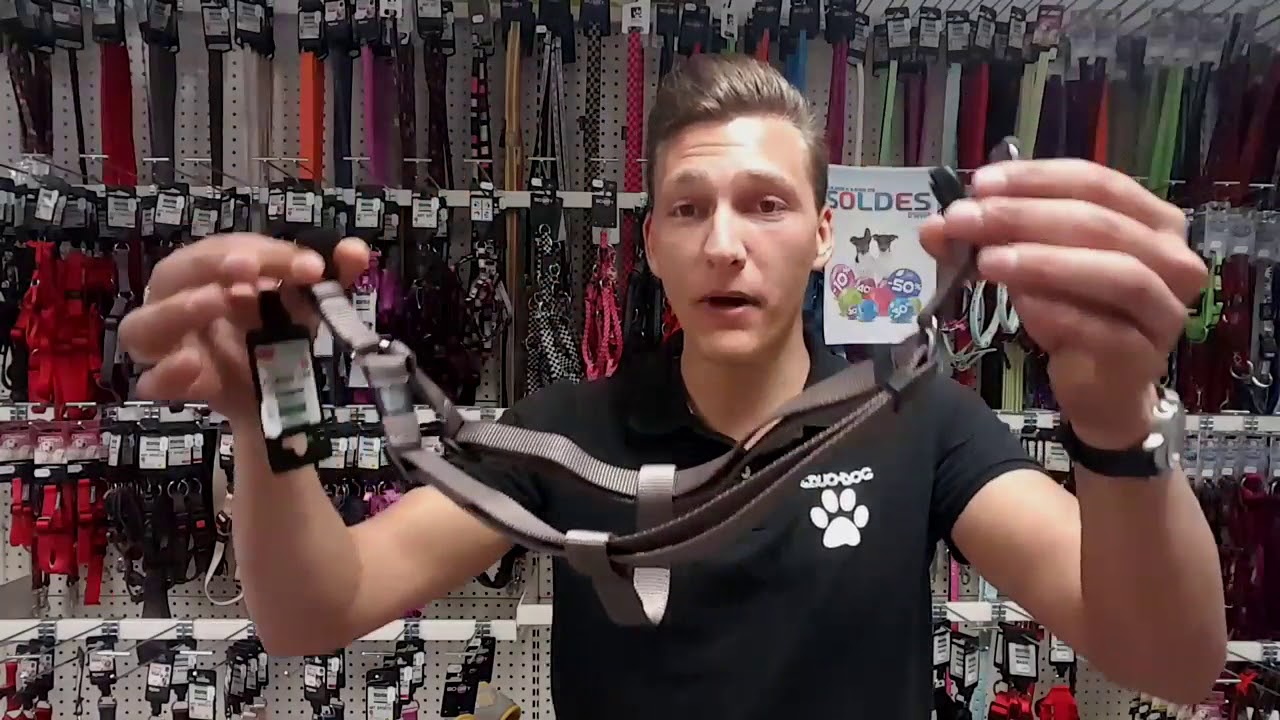 Quel harnais choisir pour mon chien ? #33