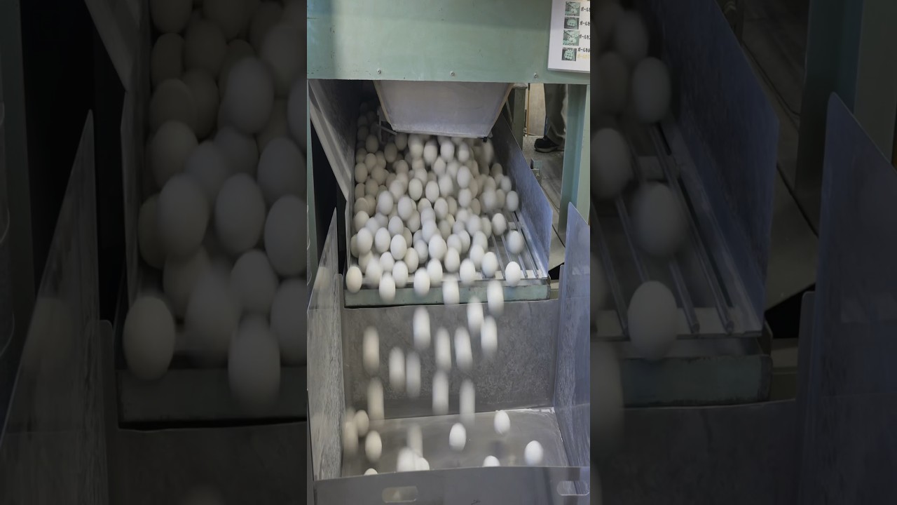 Mass production process of rubber baseballs at a 100-year-old Japanese factory.
