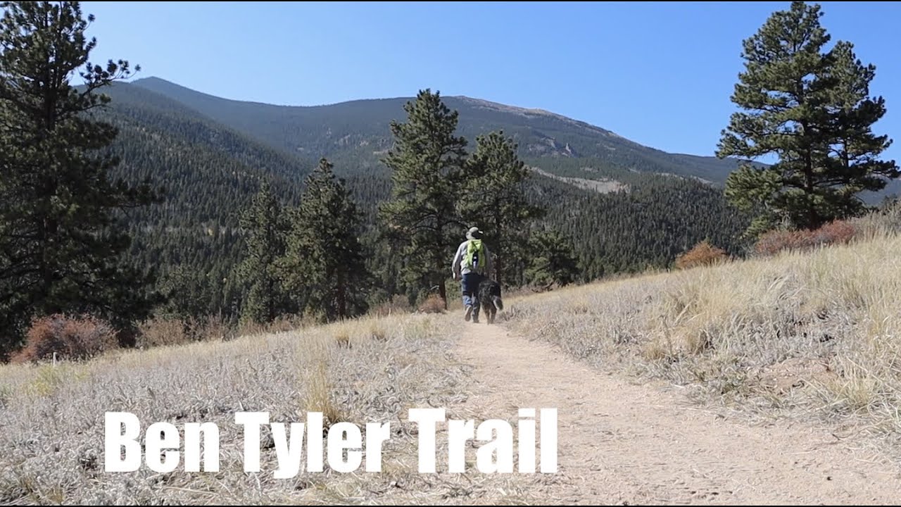 Ben Tyler trail hike with my dog