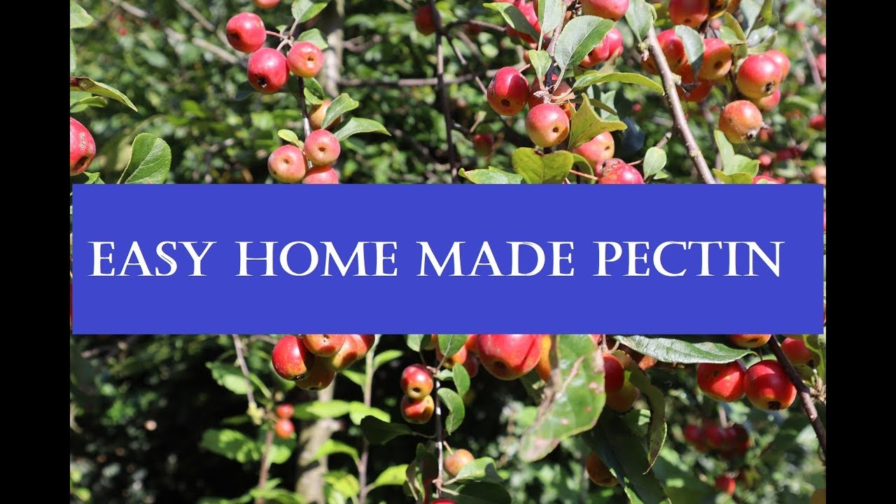 Making pectin for jam and jelly  Its easy!