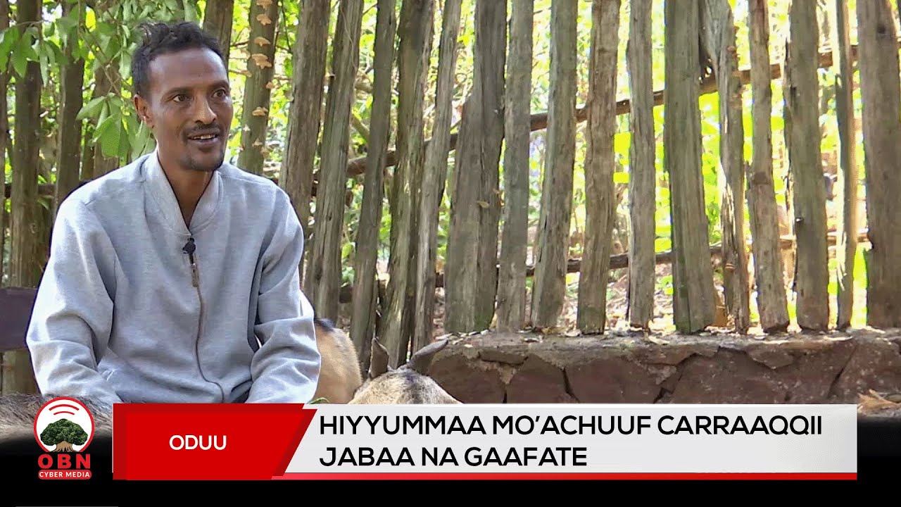 Carraaqqii Hiyyummaa mo'achuuf taasifame