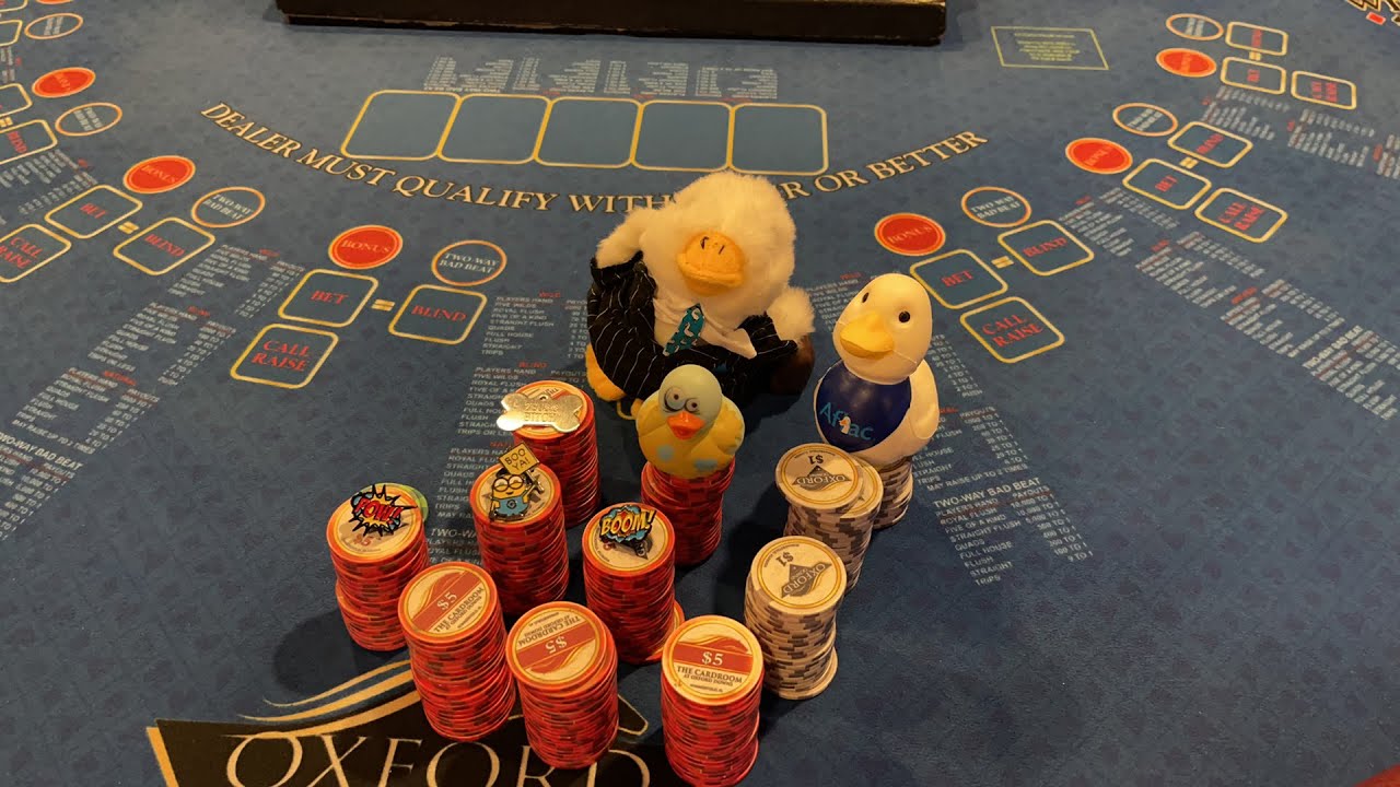 Pitbull Poker is live!