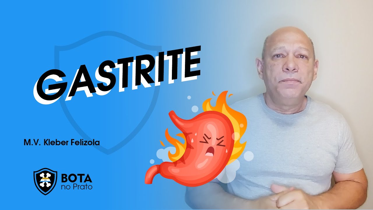Seu pet tem gastrite? Saiba como contornar esse problema!