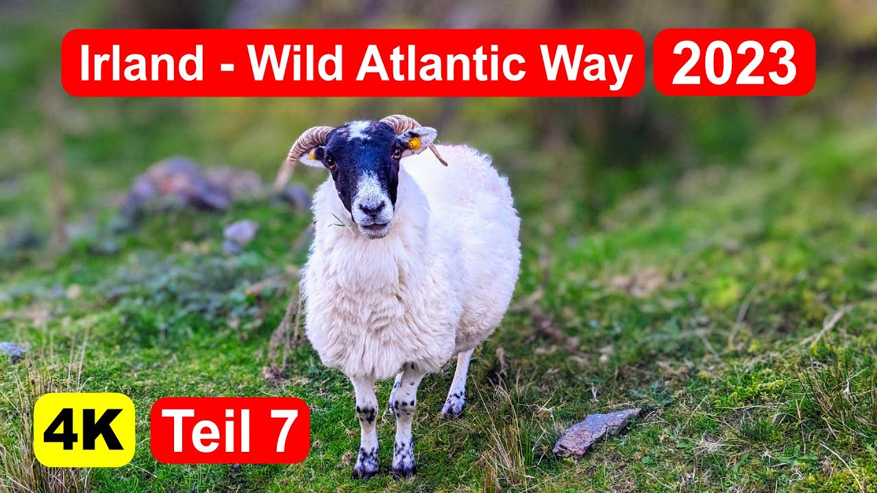 Irland mit dem Wohnmobil 2023 -  Teil 7 - Downpatrick Head, Slieve League, Donegal,  Heimreise