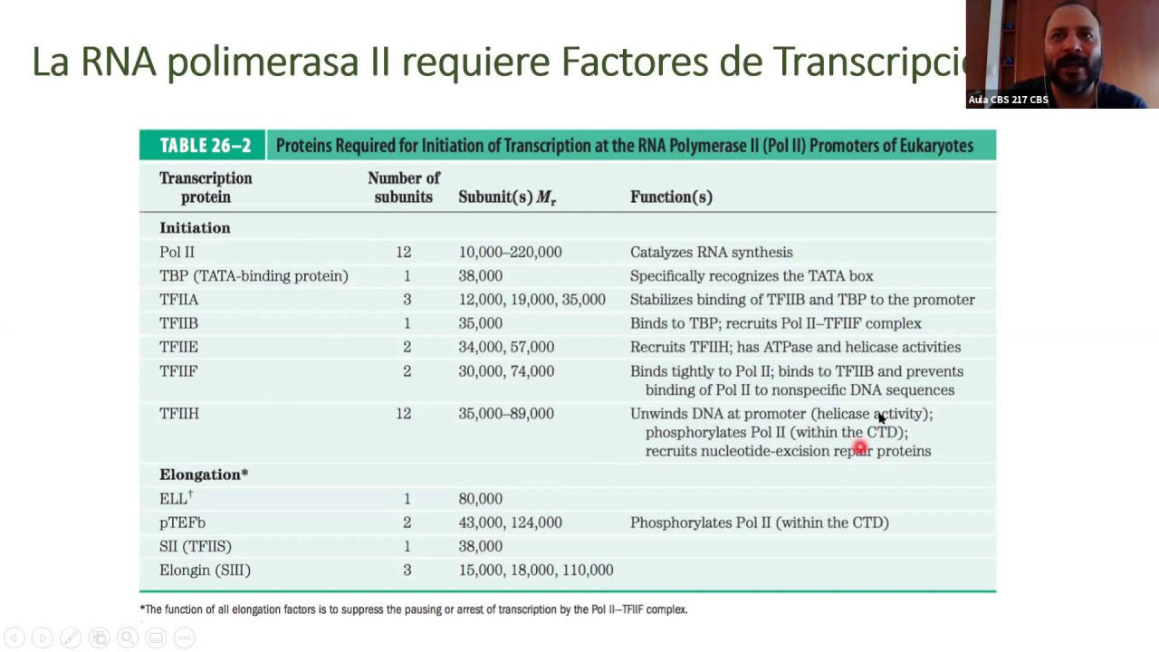 Transcripcion eucariontes