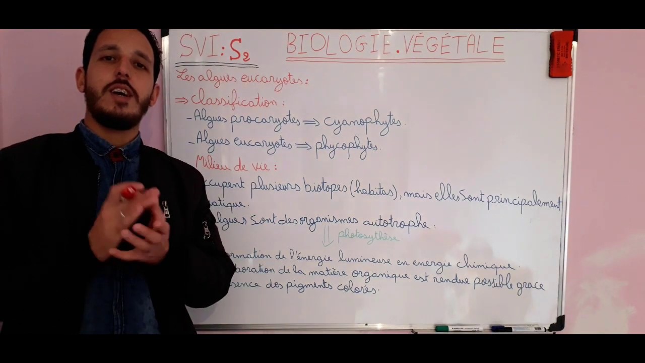 COURS 6 : BIOLOGIE VÉGÉTALE=partie 3 des algues très important أنواع الطحالب و مميزاتها بالتفاصيل