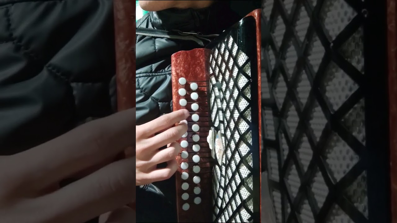 Бумер на гармошке