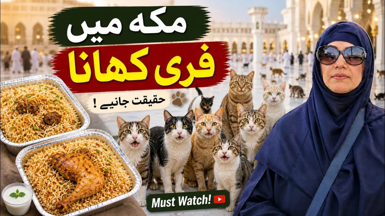 Free Food in Makkah | Where to find free food in Makkah | Cheapest FOOD Near Haram | @hajj & umrah tv