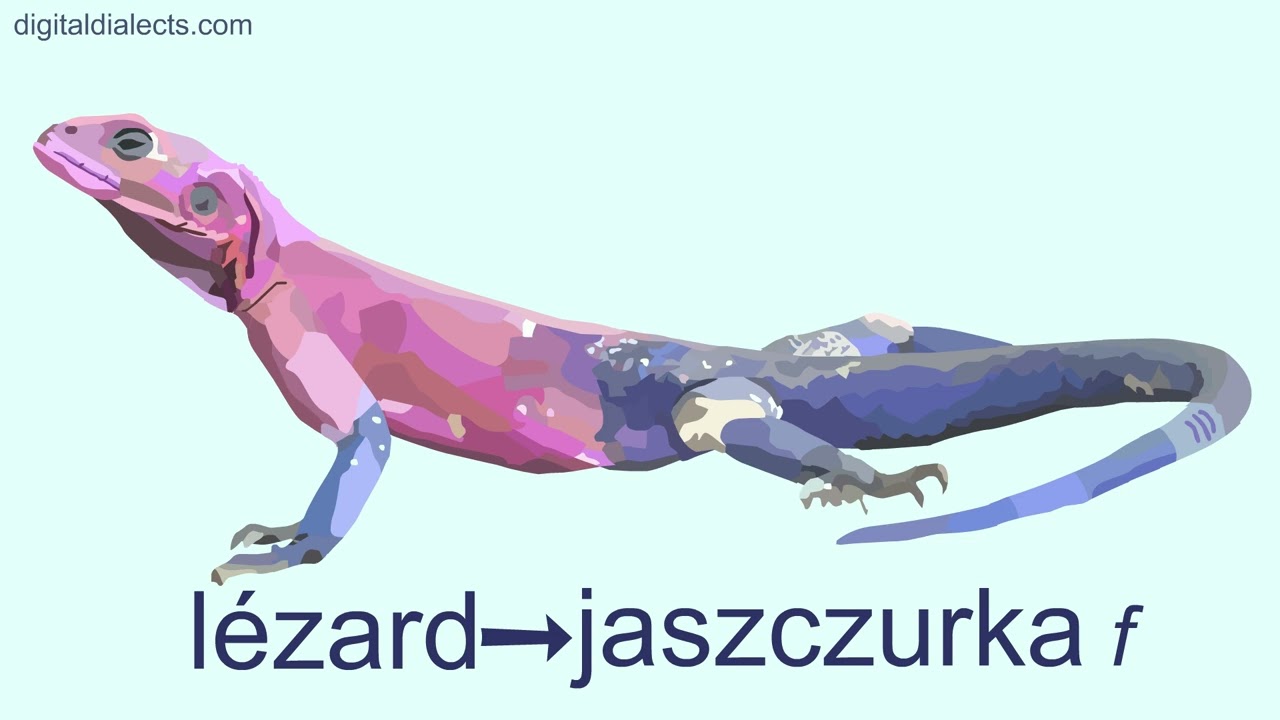 Les animaux en polonais 2