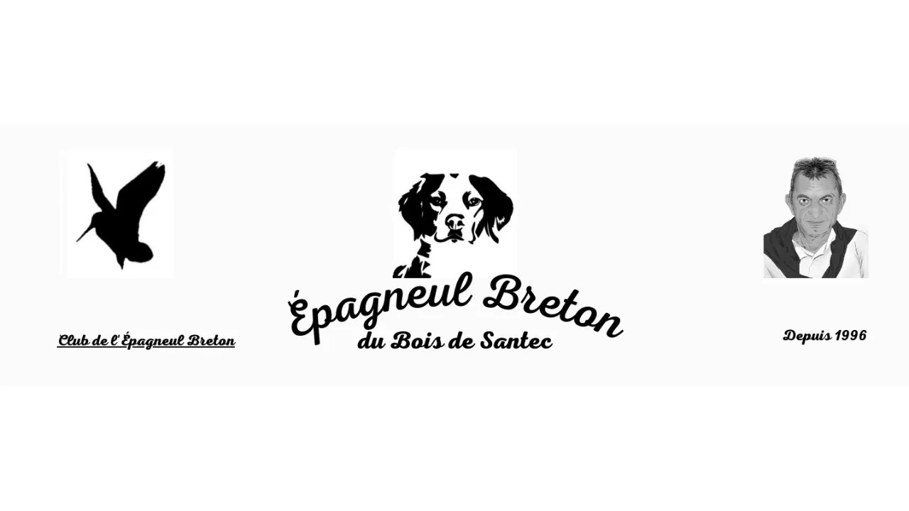 Sortie du 30 Janvier 2026 au Bois de Santec