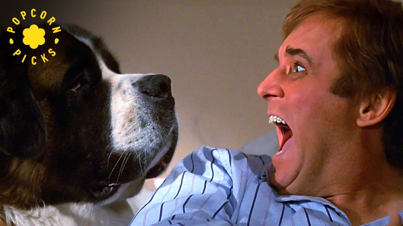 Beethoven’s Harmless Bedtime Surprise (Charles Grodin) | Beethoven