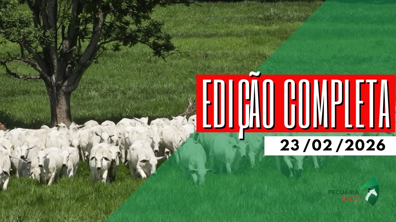 PECUÁRIA EM FOCO - EDIÇÃO COMPLETA - 23/02/2026
