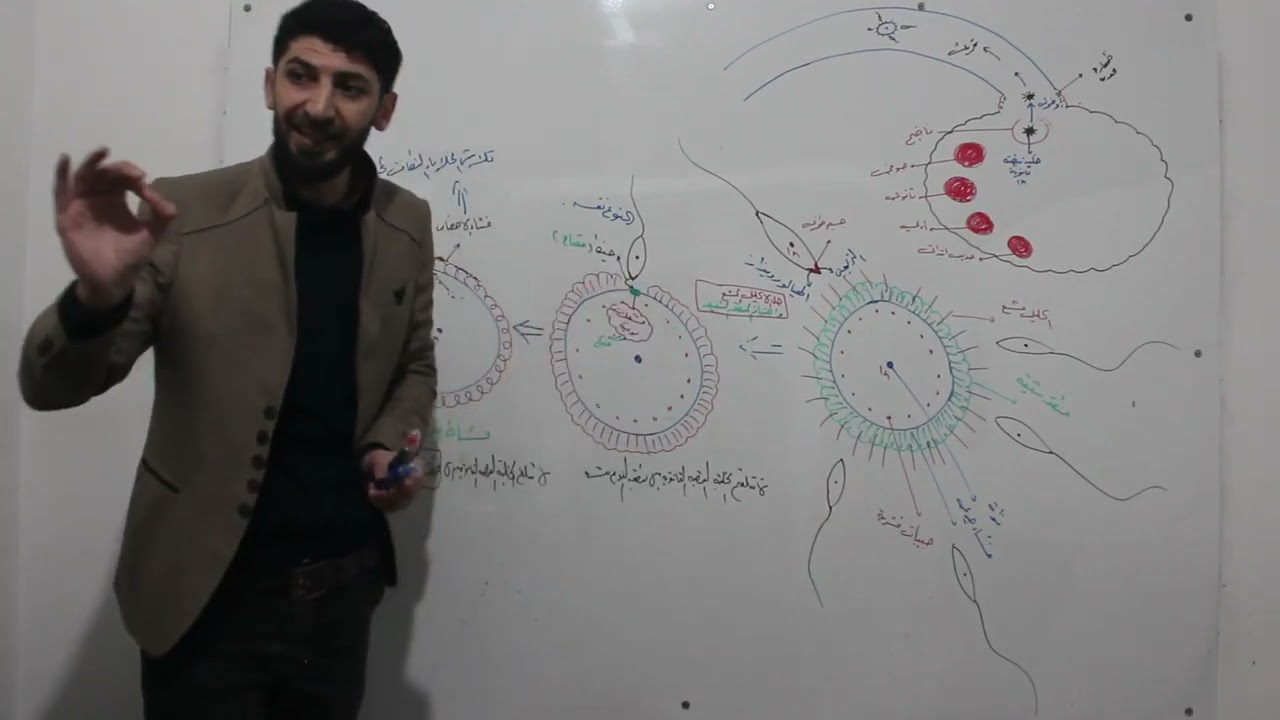 تنامي جنيني 1
