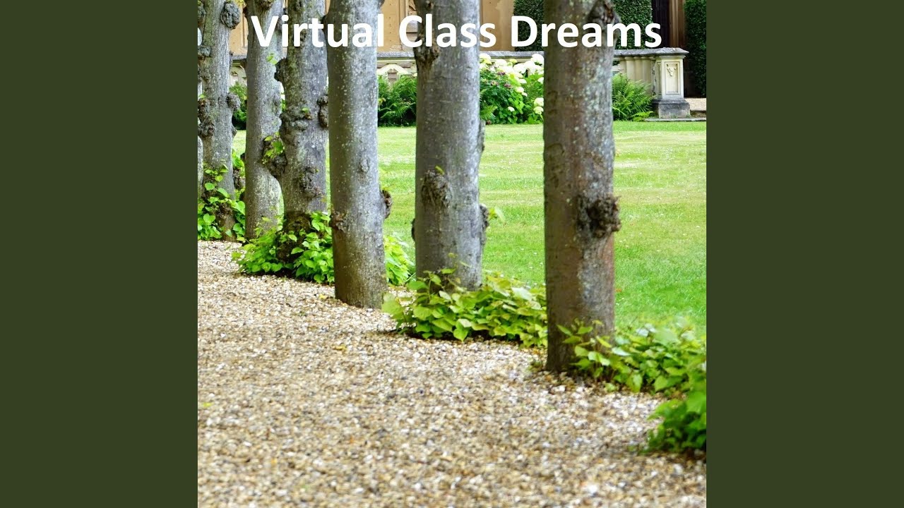Virtual Class Dreams