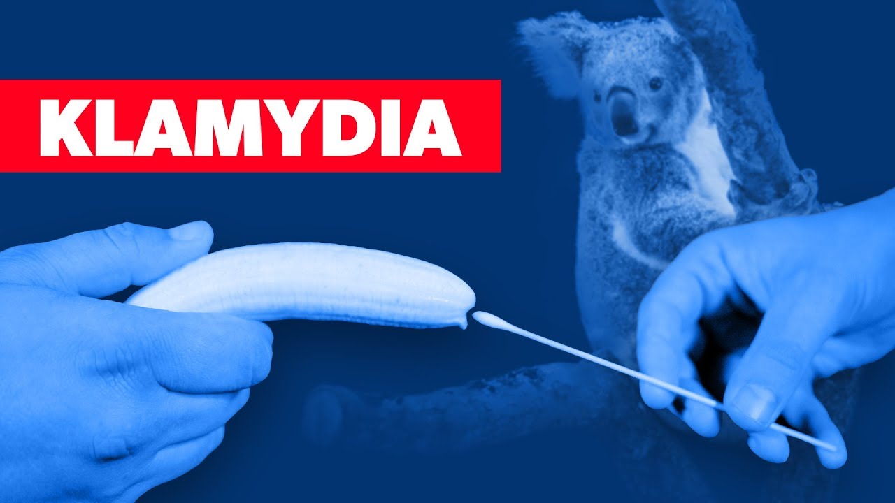 Derfor er klamydia så akavet