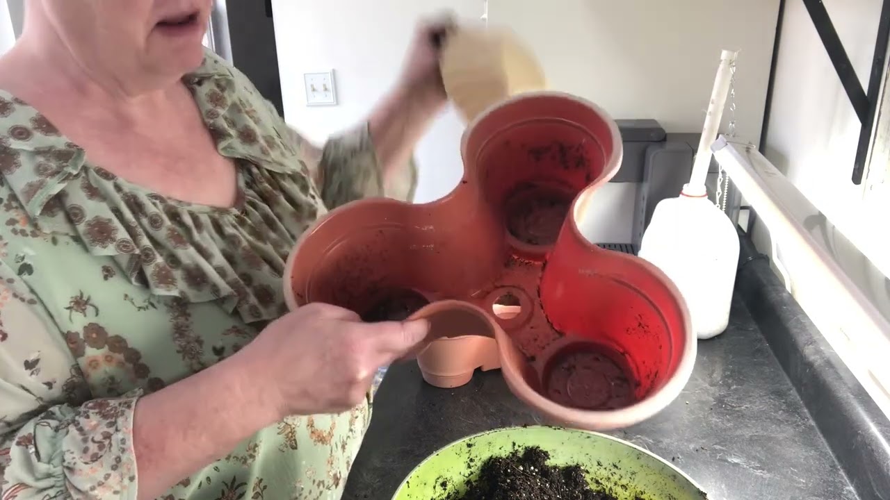 Up Potting Herbs in the Dollar Tree Stackable Planters