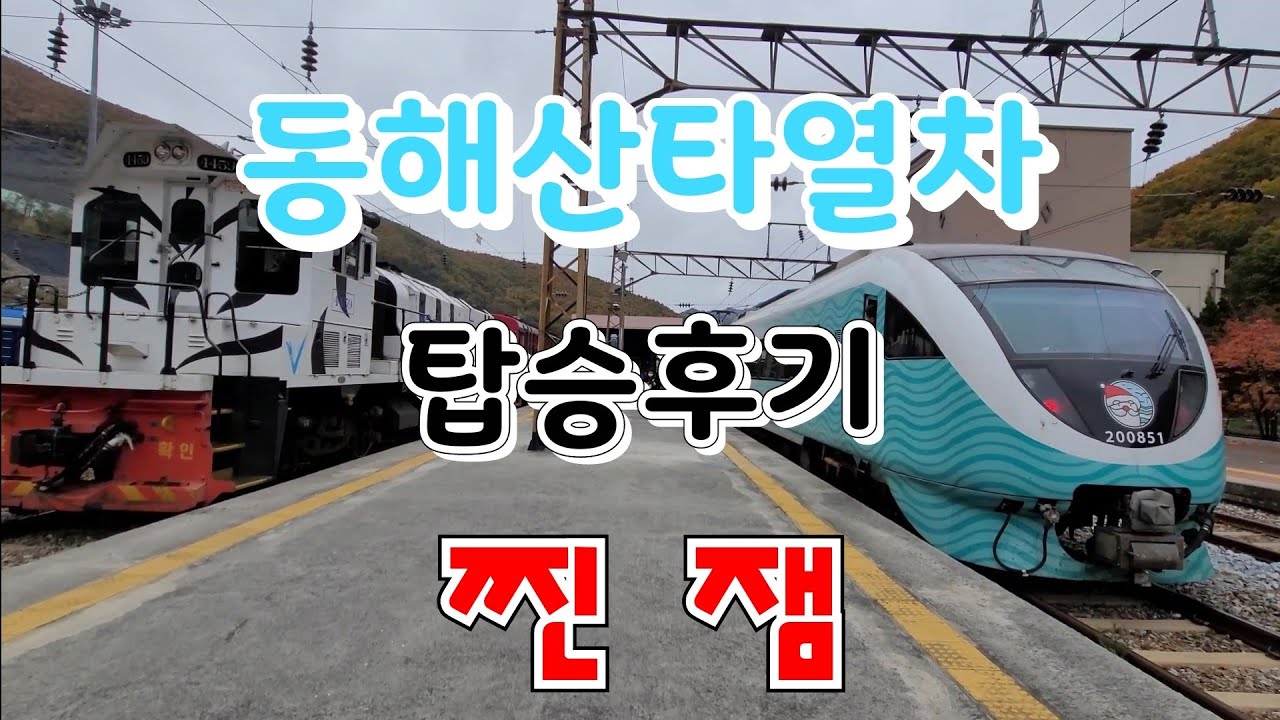 동해산타열차 직접 타본 후기 Train travel in Korea