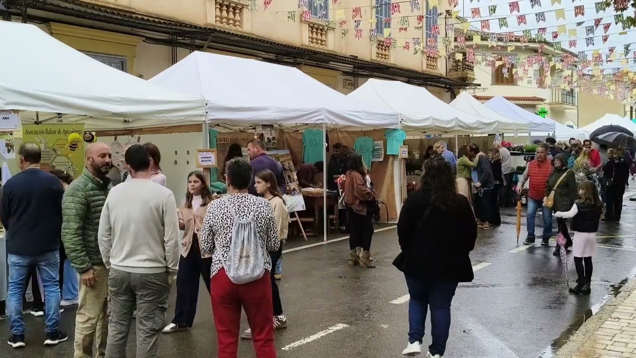 IPCIM_LLUBI_008_001