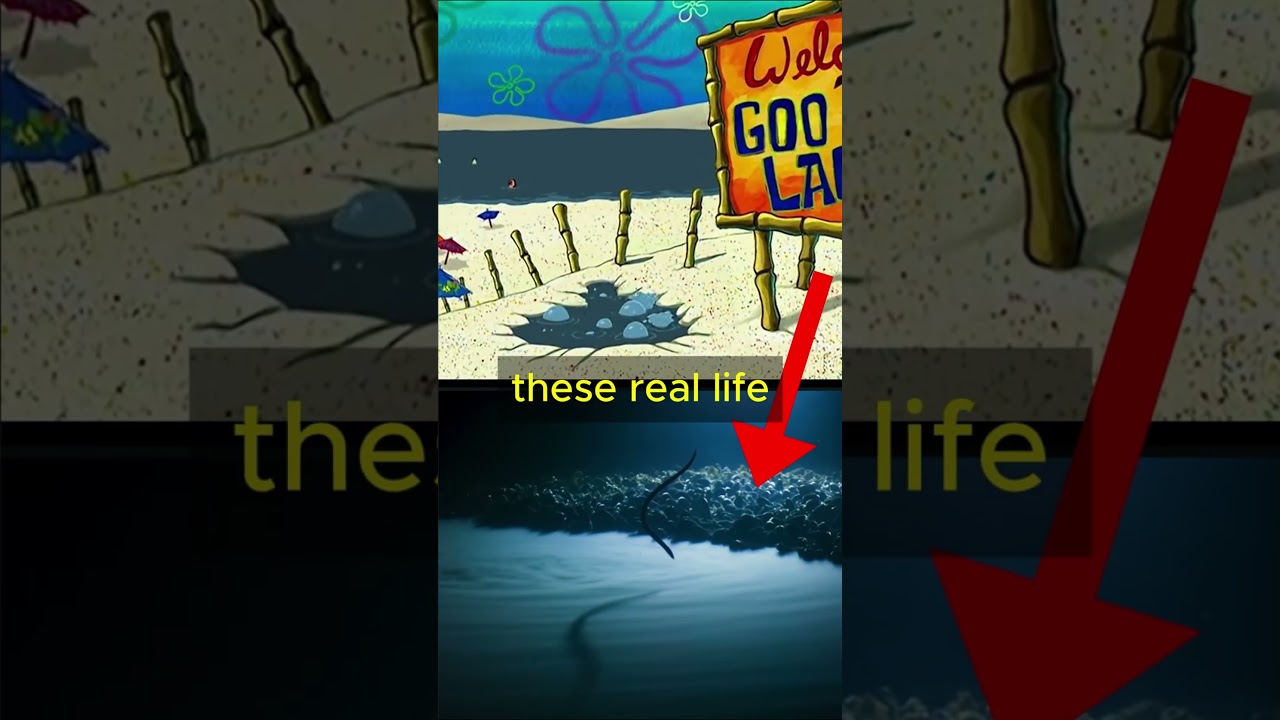 Is SpongeBob ACTUALLY Underwater?!👀🤣