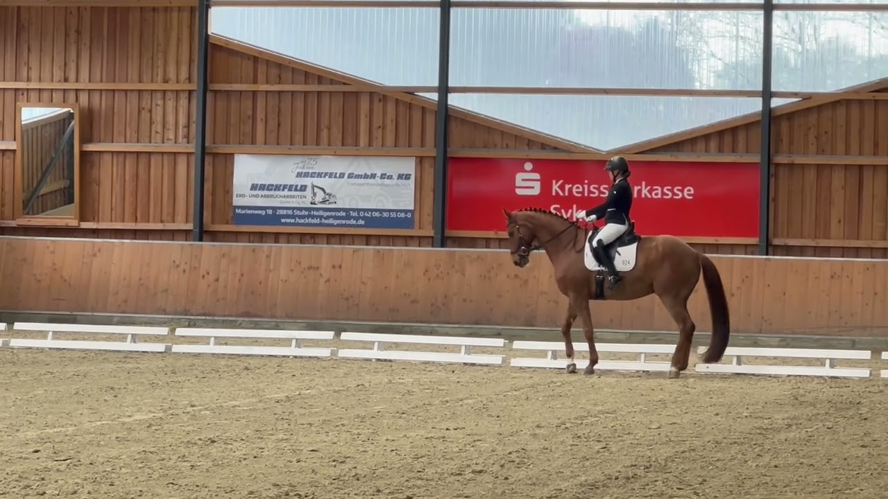 L5 Dressur Aufgabe