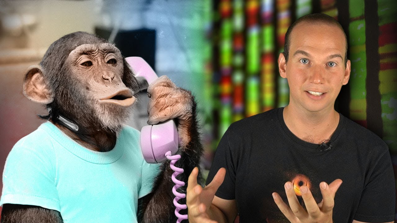 Il Comportamento ha Basi Genetiche?