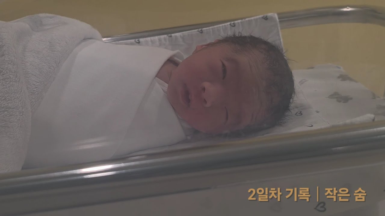 둘째, 태어난 지 이틀째의 얼굴 #신생아#신생아2일차#출산기록#둘째기록#아기기록#신생아영상#육아일기#가족기록#2026년생#출생기록