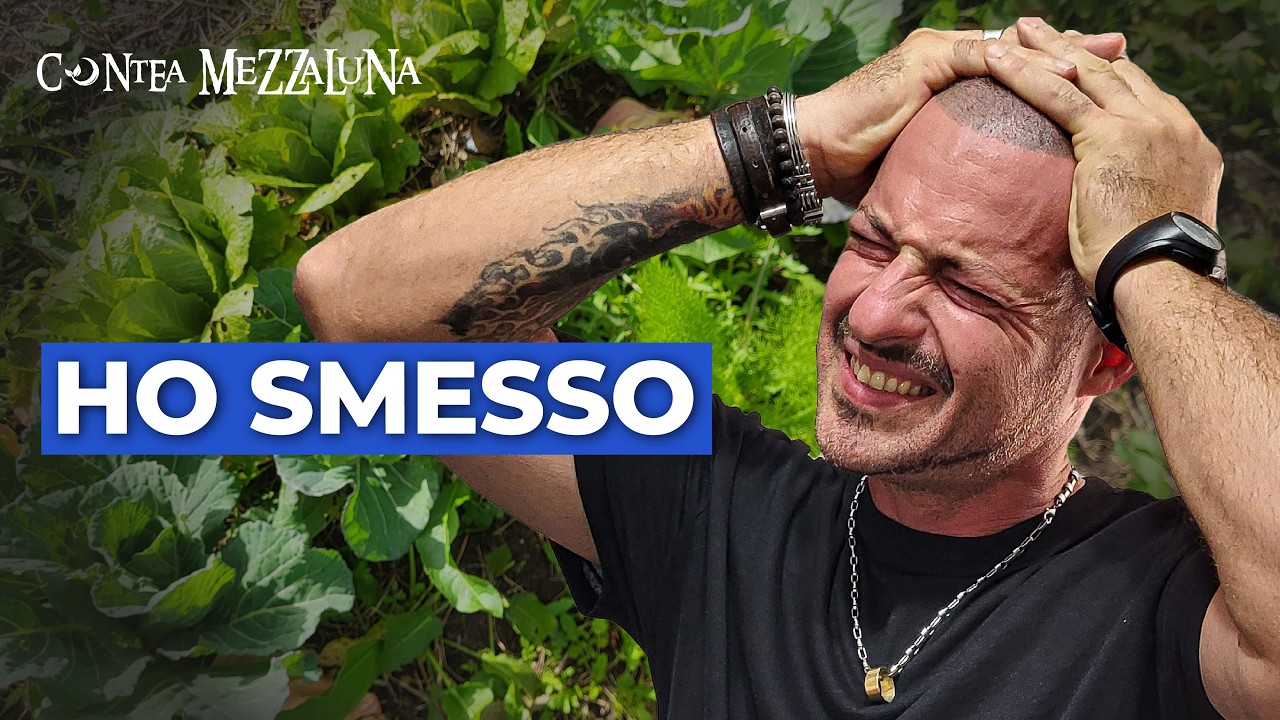 Ho lasciato crescere le piante spontanee nell’orto per anni: ecco cosa è successo davvero