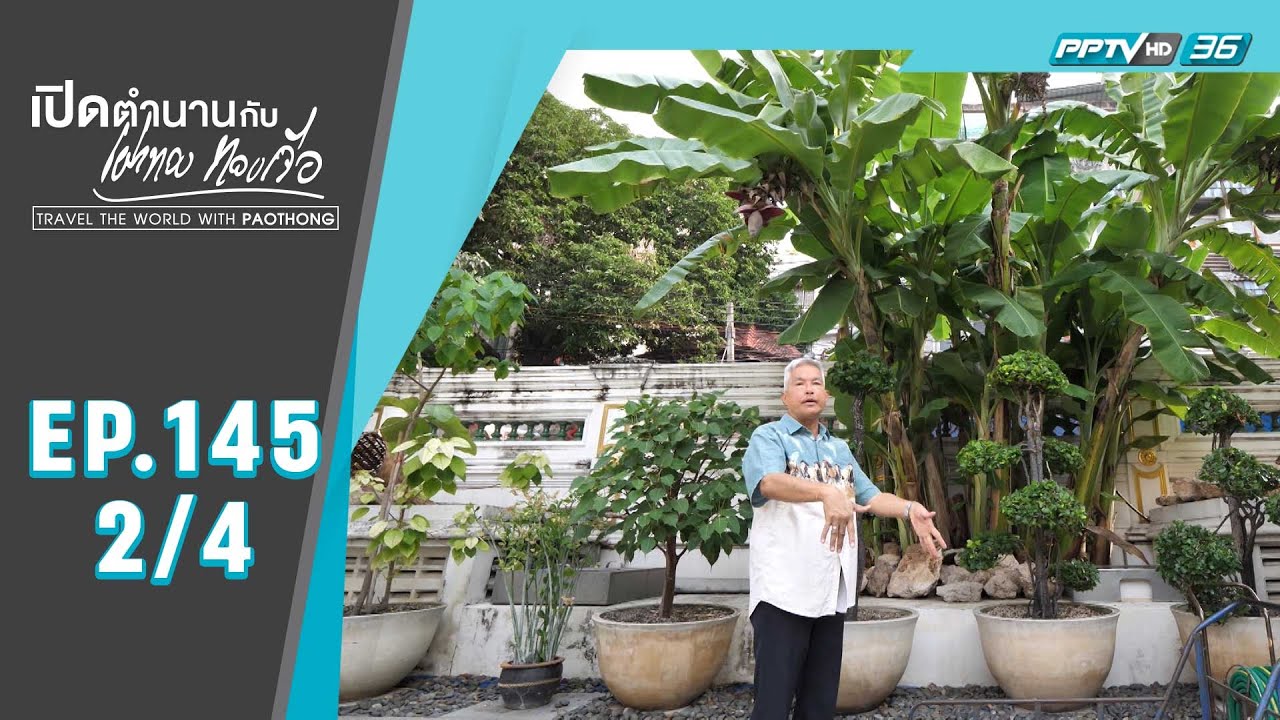 เปิดตำนานกับเผ่าทอง ทองเจือ | ตำนานต้นไม้มงคล ในเทวสถานโบสถ์พราหมณ์ (2/4)