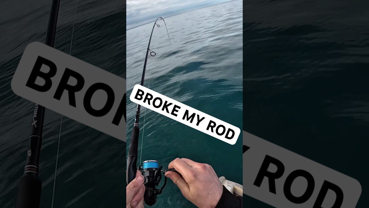 &lsquo;Why are you even netting whiting&rsquo; 🫨 #fishing #brokenrod #fishingfails #broken