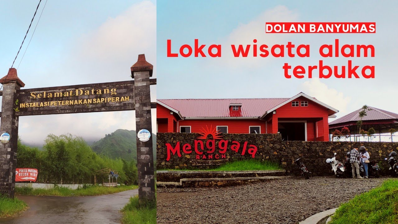 Menggala ranch Cilongok banyumas wisata mirip New Zealand