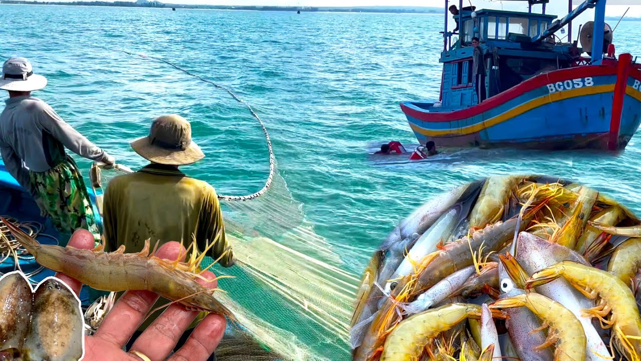 Ra Biển Bao Mực Tôm Cùng Ngư Dân,Gặp Mực Bầu Và Mực Nháy.