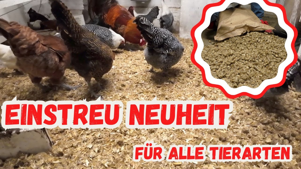 Einstreu Neuheit für Hühner - Rinder - Schafe - Schweine