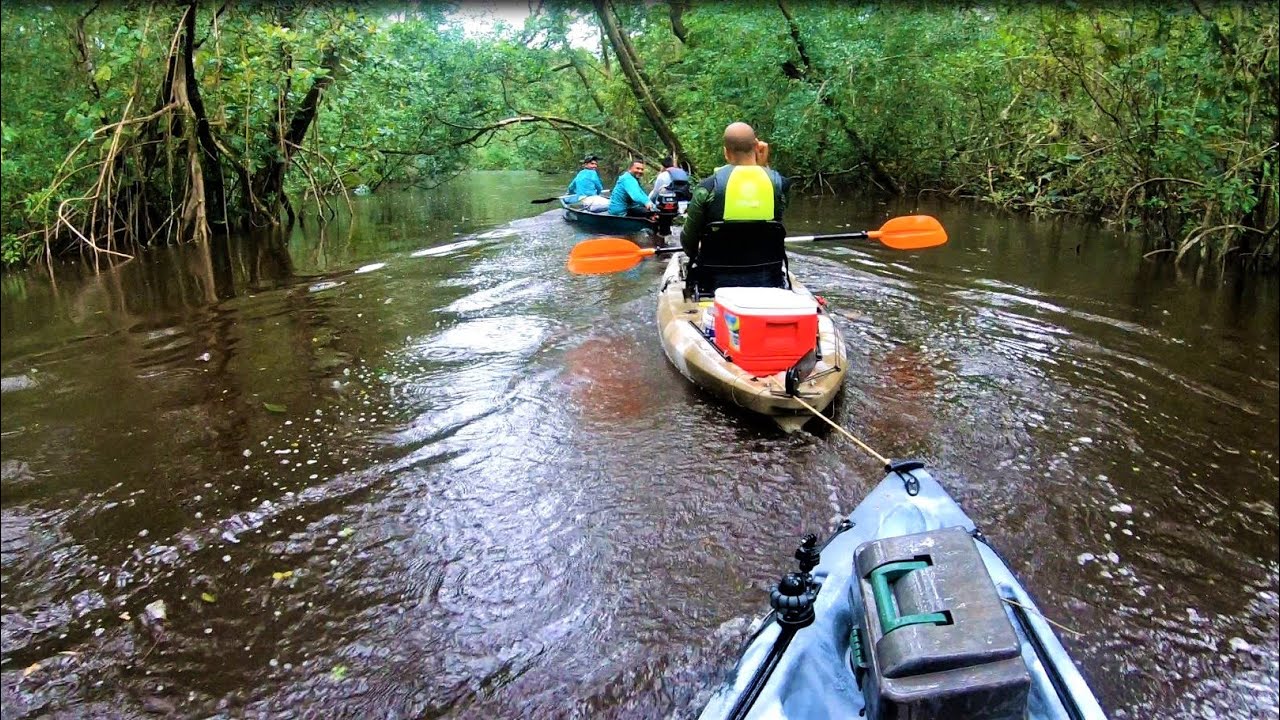 Kayak adventure: Kayaking through a creek deep in the mangrove jungle - Fishing for Silver Croaker