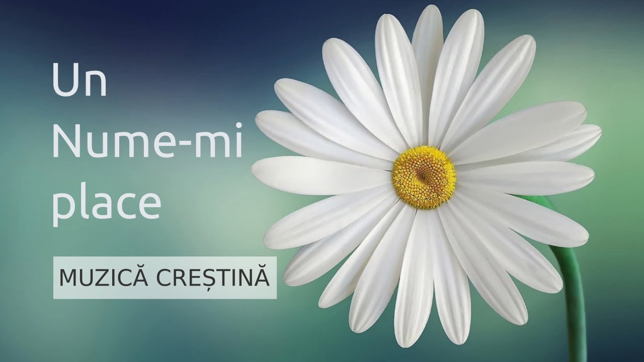 Ionică și Ghiță Bizău - Un Nume-mi place