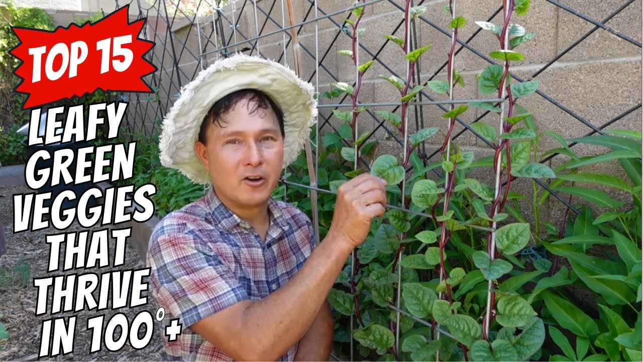 15 Proven Heat-Proof Leafy Greens that Thrive in 100+ Degree Weather