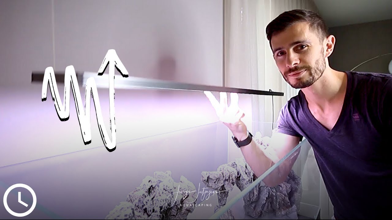 AQUARIUM LIGHT SUSPENSION of your dreams 😲💭