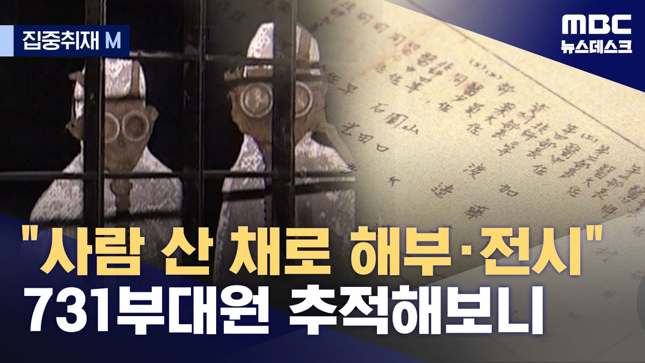 [집중취재M] 