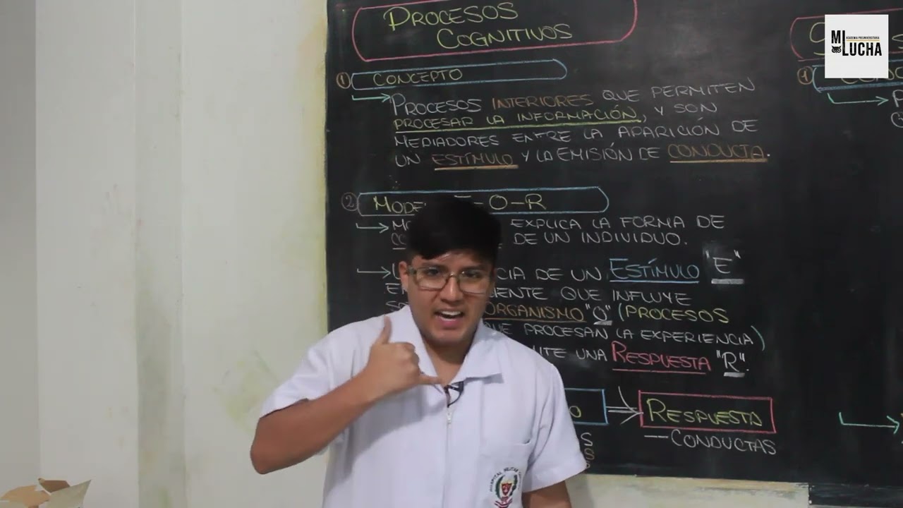 PROCESOS COGNITIVOS - PSICOLOGÍA