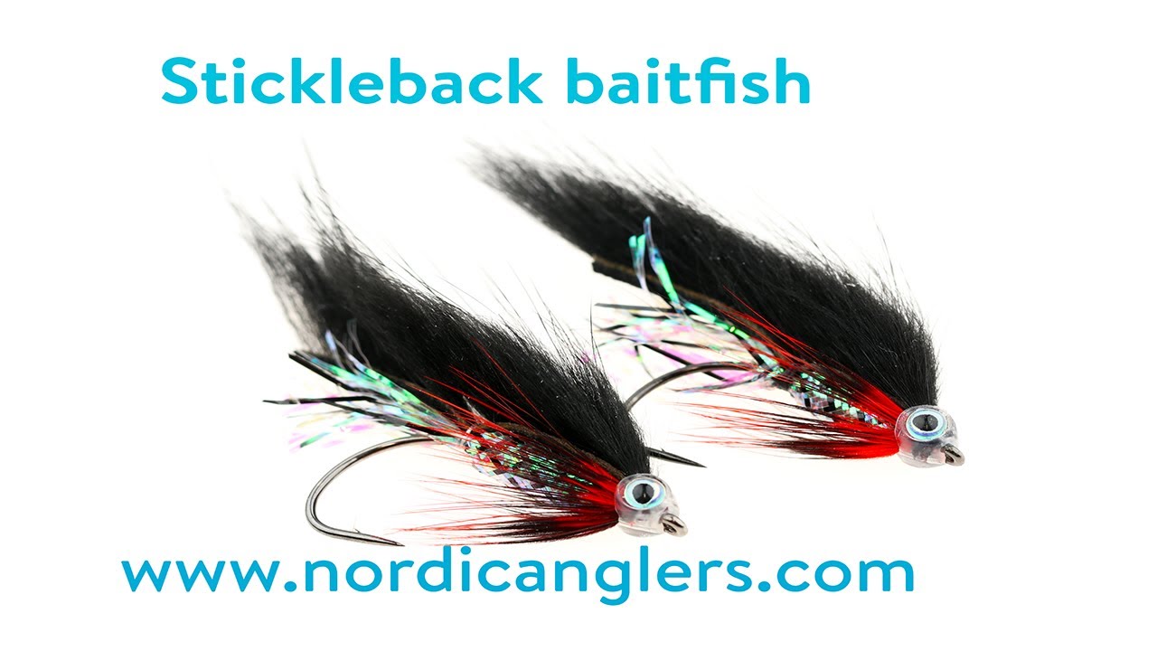 Fly Tying: Zonker stickleback Baitfish trout fly