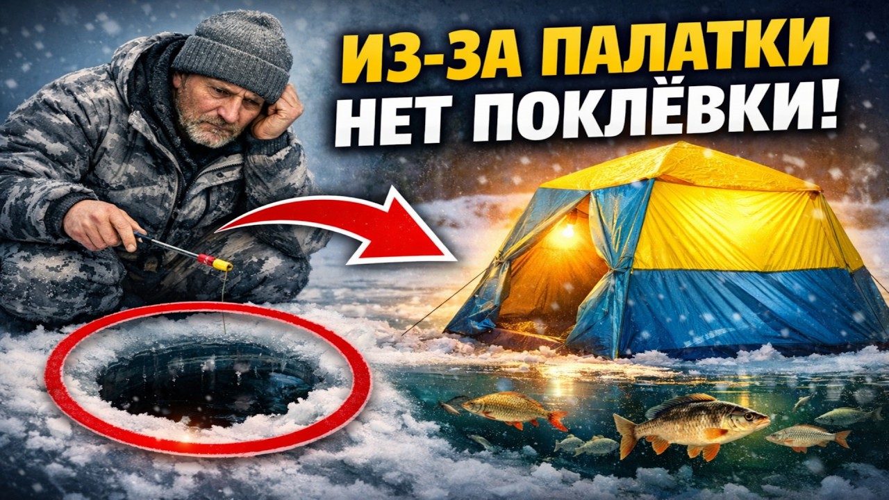Ваша палатка — причина БЕСКЛЁВЬЯ? Вся правда о цвете на зимней рыбалке.