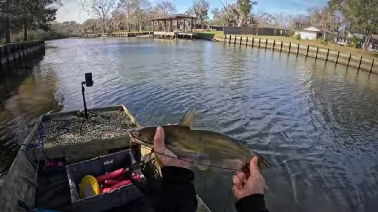 QUICK BAYOU TRIP!North wind 30mph!No water!it was rough but i had fun Galveston bay feeds this bayou