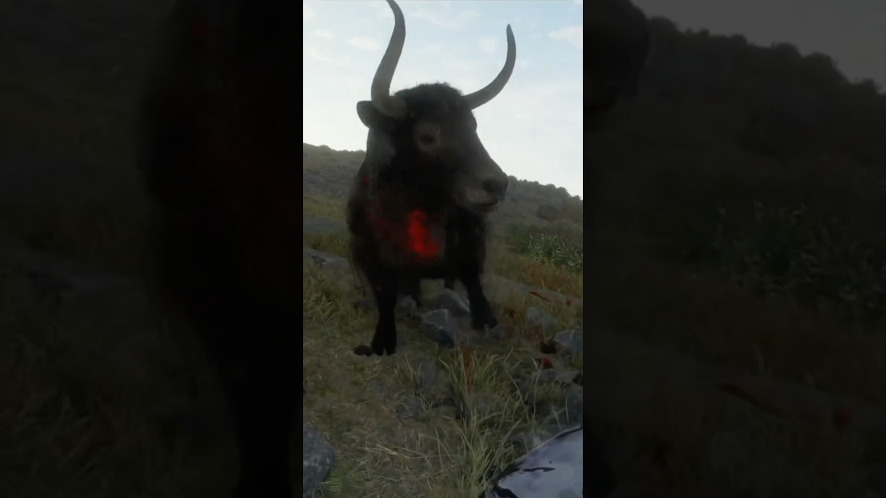 Сколько патронов .22 калибра понадобится, чтобы убить яка в Call of the Wild?! #thehuntercotw #co...