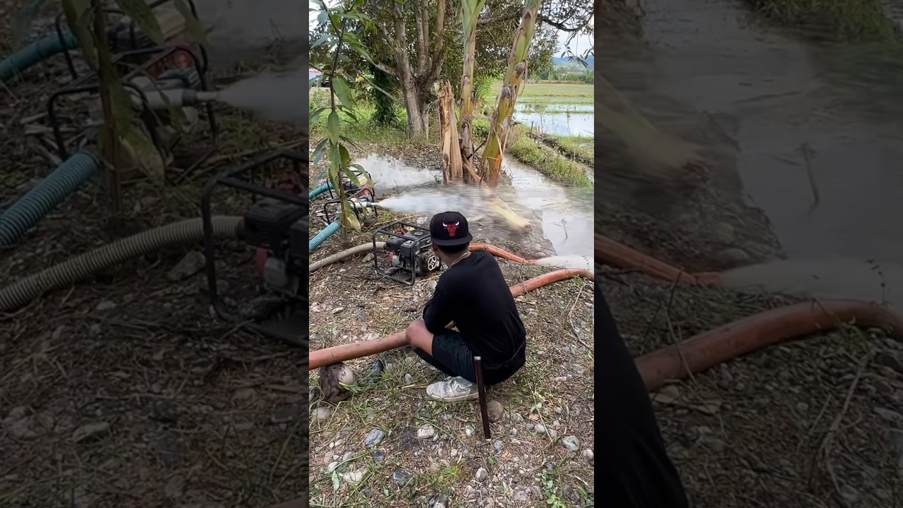 Kuras kolam pakai 4 mesin sedot air/alkon🤤 #842 #KOOKIKO