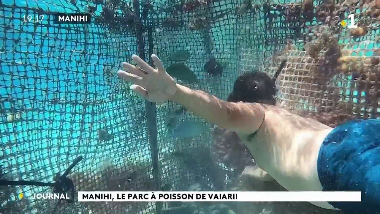 Le parc à poissons de Vaiarii Grillot, son garde-manger et son gagne-pain