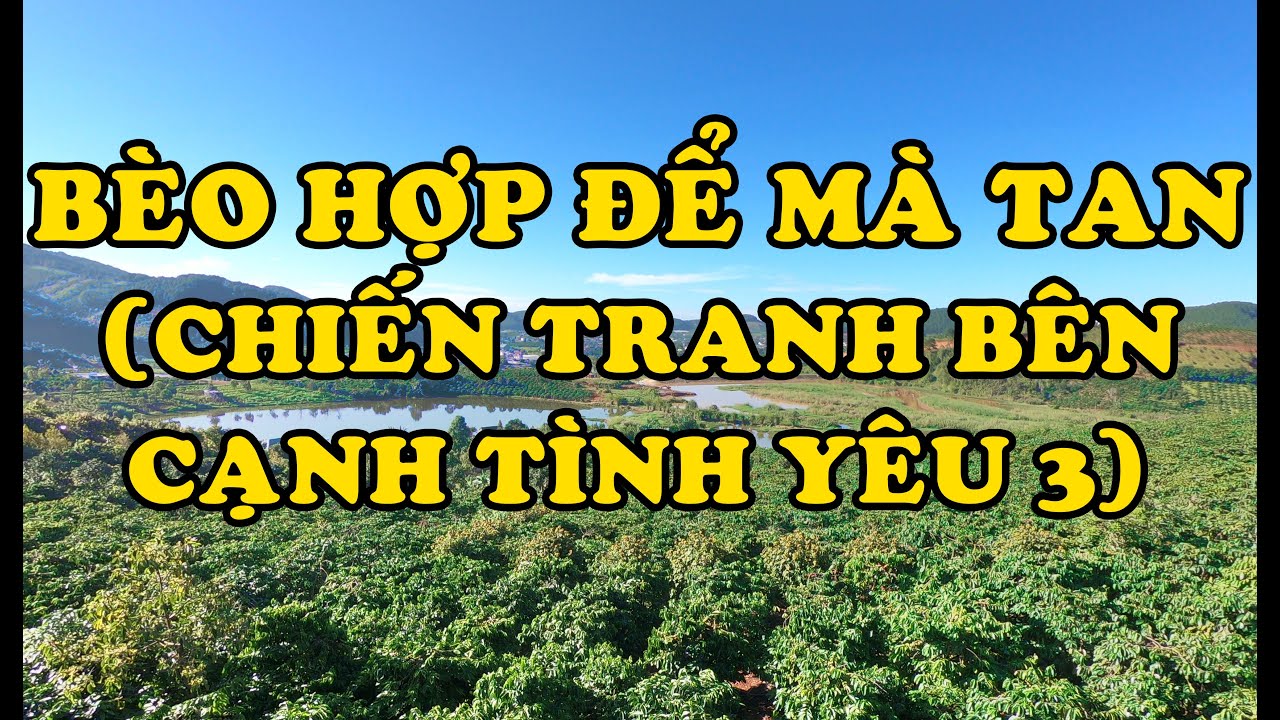 Hồi Ký Miền Nam | Bèo Hợp Để Mà Tan (Chiến Tranh Bên Cạnh Tình Yêu 3)