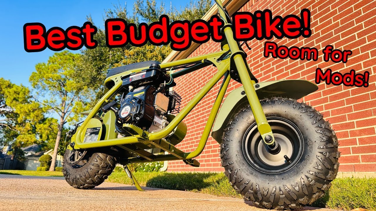 Is This the Best Budget Mini Bike for Mods?