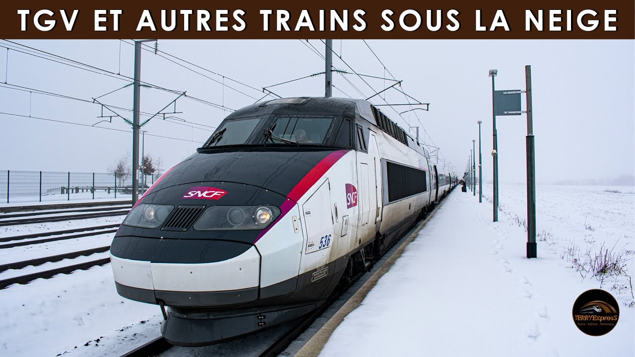 TGV et autres Trains sous la neige !