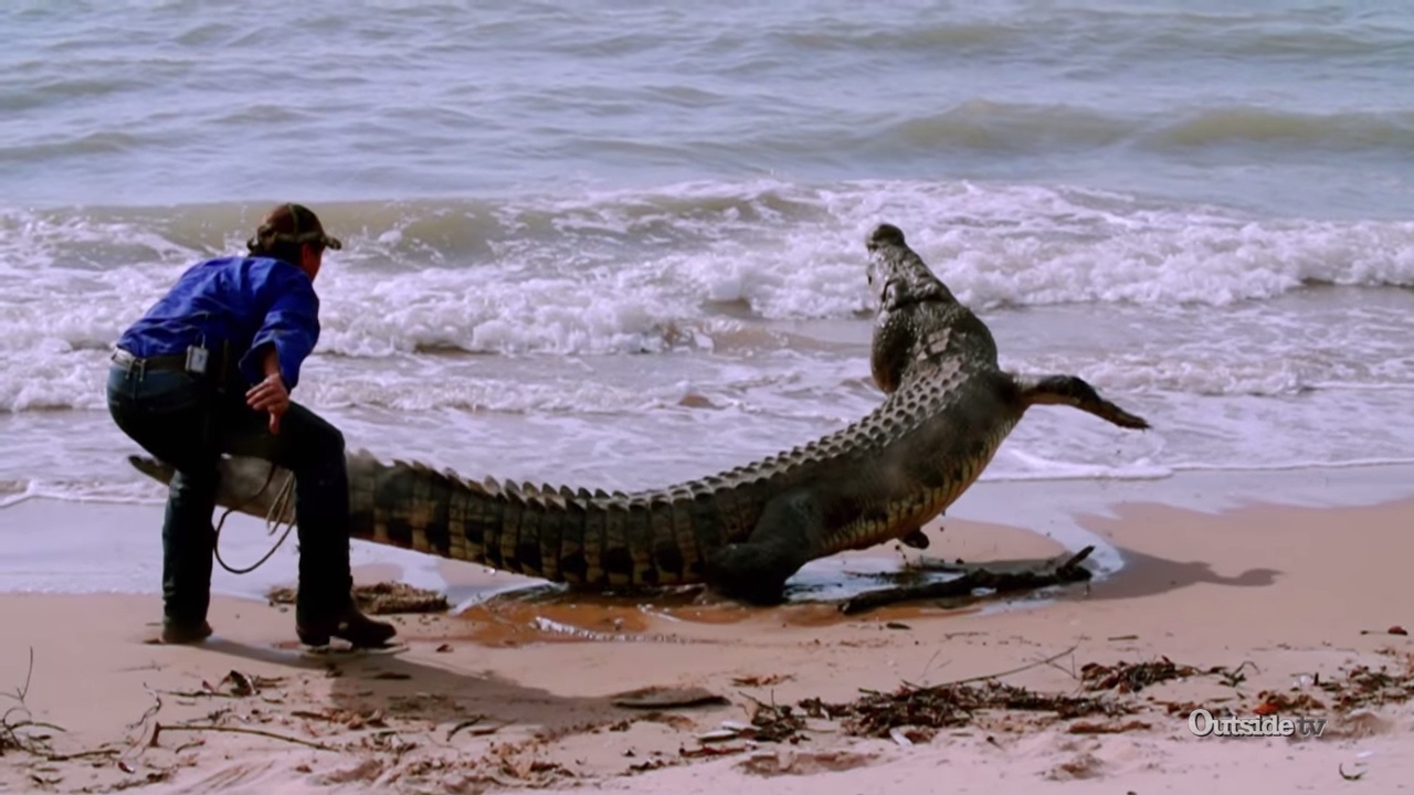 Crocodile Wranglin' in Australia -
